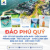 Tour Đảo Phú Quý - Sao Biển Tourist
