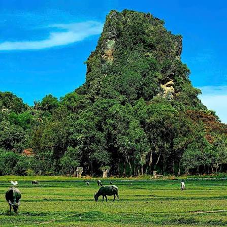 Phú Quốc - Trải Nghiệm cùng Sao Biển Tourist Phú Quốc - Trải Nghiệm cùng Sao Biển Tourist