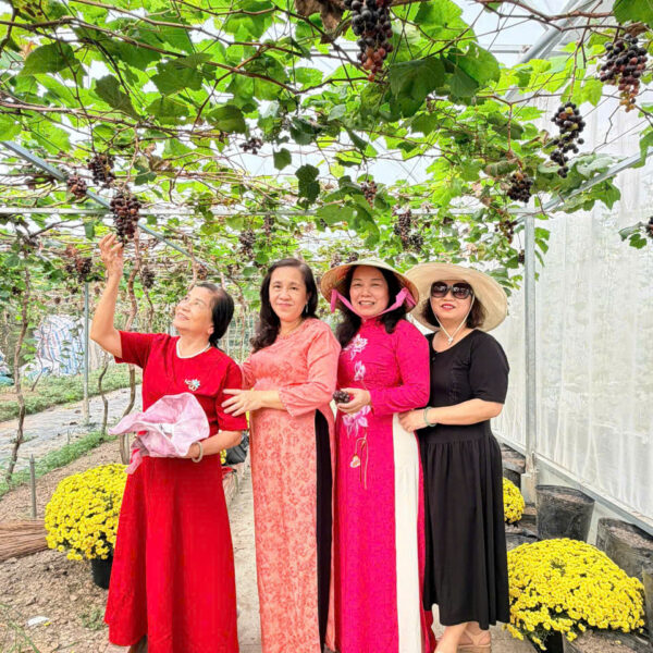 tour lò gạch mang thít vĩnh long 1 ngày