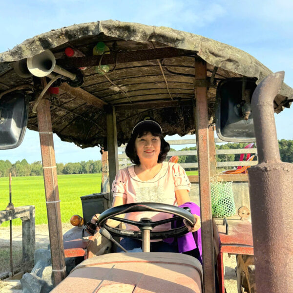 canh dong ta lai