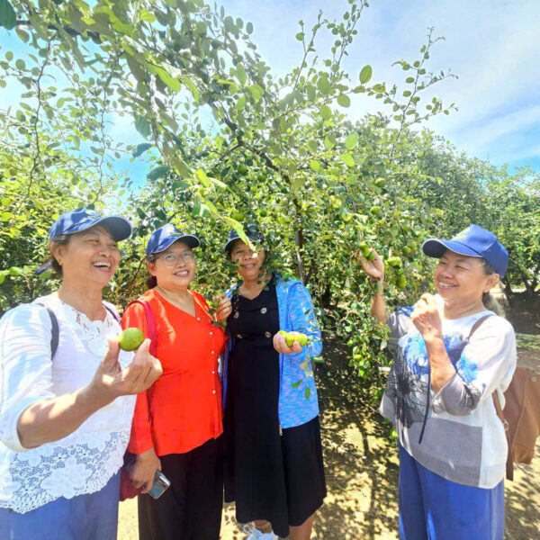 TOUR GO CONG - SAO BIEN TOURIST