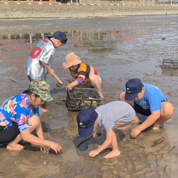 TOUR CÀO NGHÊU BIỂN TÂN THÀNH