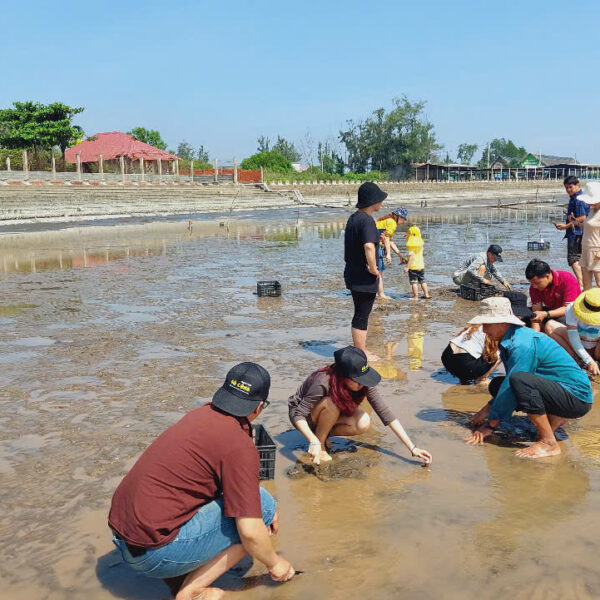 TOUR CÀO NGHÊU BIỂN TÂN THÀNH