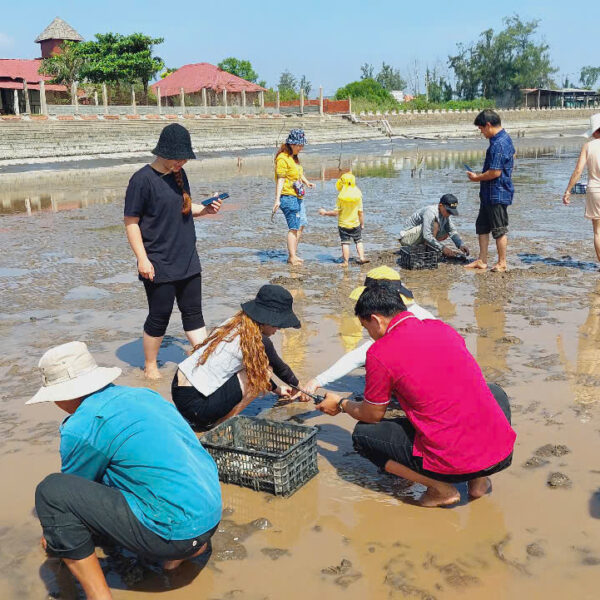 TOUR CÀO NGHÊU BIỂN TÂN THÀNH
