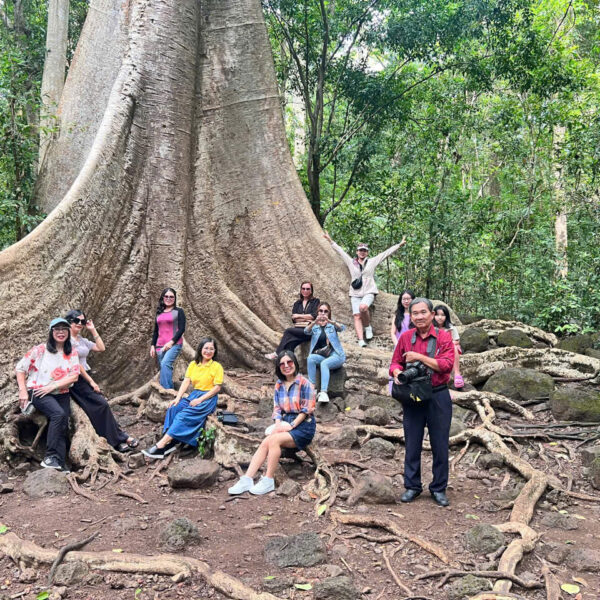 Tour Nam cát tiên - Bảo Lộc - Dambri 2 2 ngày 1 đêm