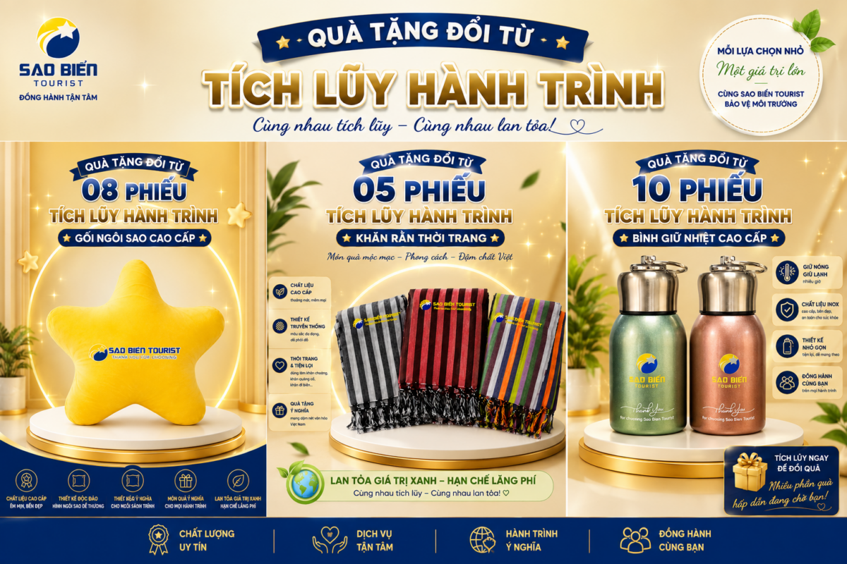 Hoạt động công ty Sao Biển Tourist
