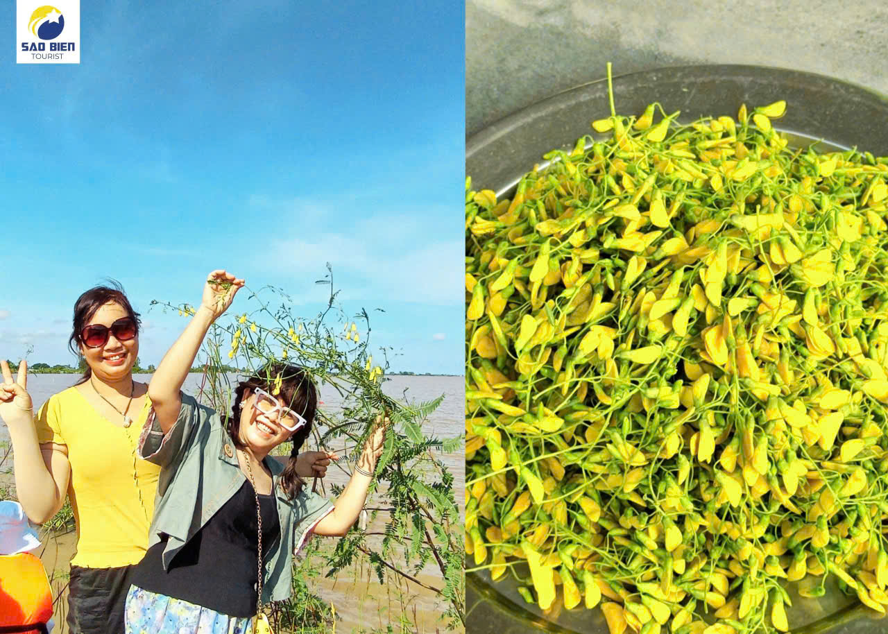 Tour Mùa Nước Nổi - Sao Biển Tourist Tour Mùa Nước Nổi - Sao Biển Tourist