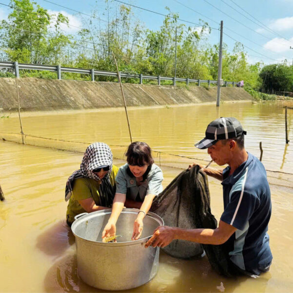 Tour Mùa Nước Nổi - Sao Biển Tourist