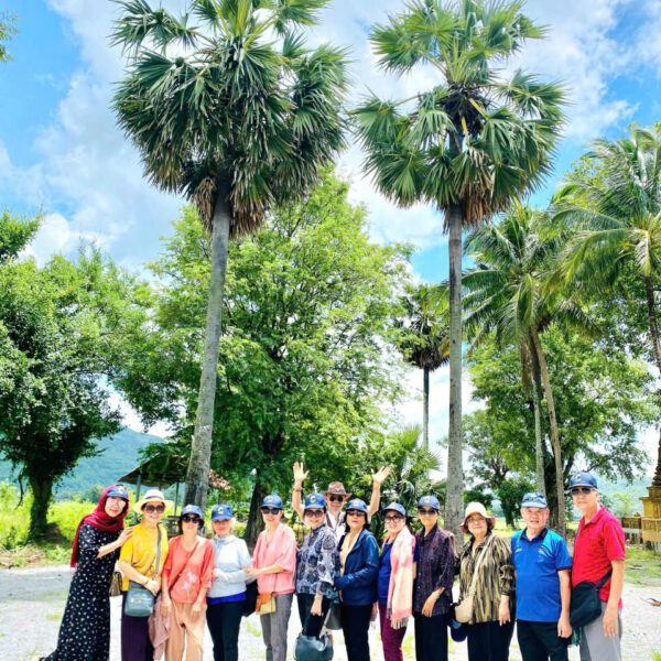 Tour Lễ hội Đua Bò Chùa Rô 2026 - Sao Bien Tourist