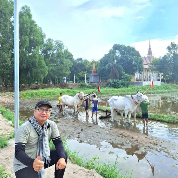 Tour Lễ hội Đua Bò Chùa Rô 2026 - Sao Bien Tourist