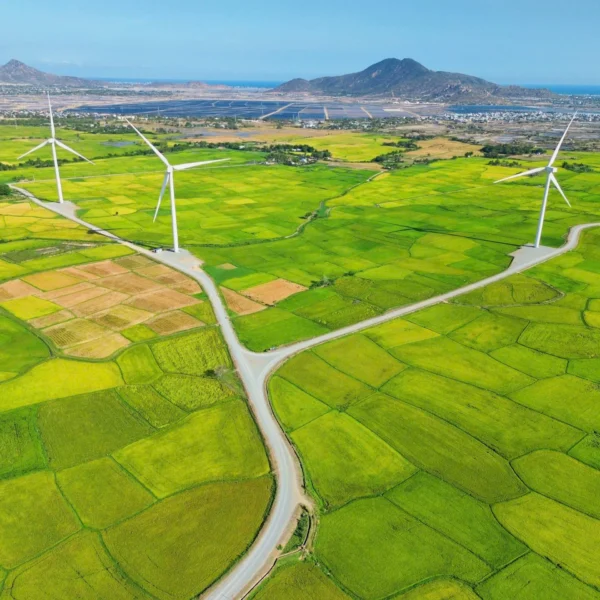 Tour Lễ Hội KaTê Ninh Thuận 2026 - Sao Bien Tourist