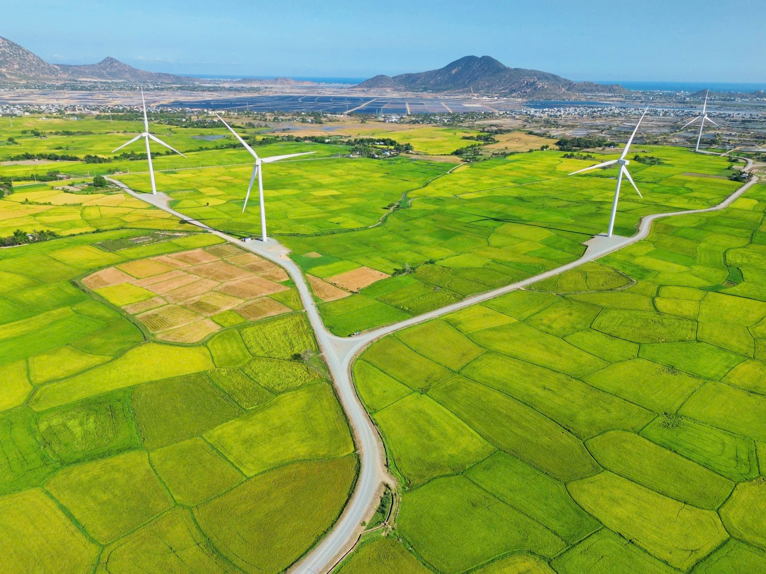Tour Lễ Hội KaTê Ninh Thuận 2026 - Sao Bien Tourist Tour Lễ Hội KaTê Ninh Thuận 2026 - Sao Bien Tourist