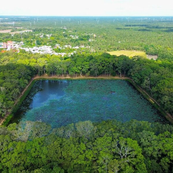 Đua Ghe Ngo Sóc Trăng - Trà Vinh - Sao Bien Tourist