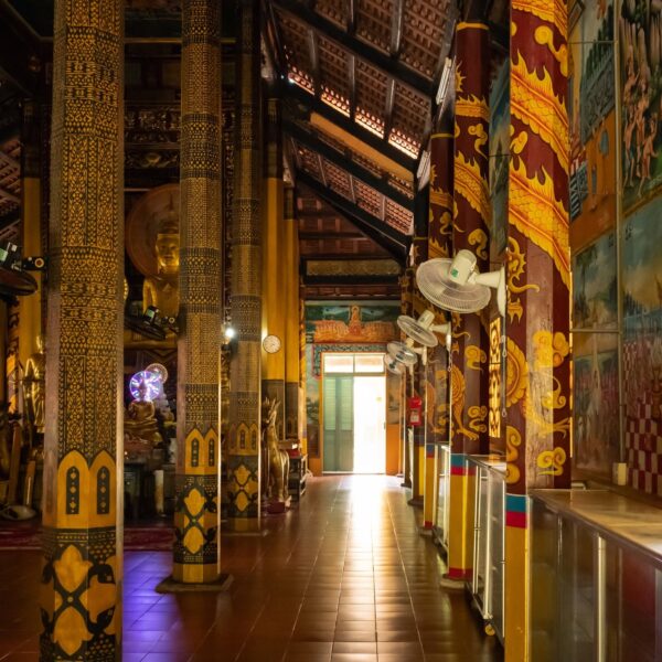 Tour Đua Ghe Ngo - Trà Vinh 1 Ngày - Sao Bien Tourist