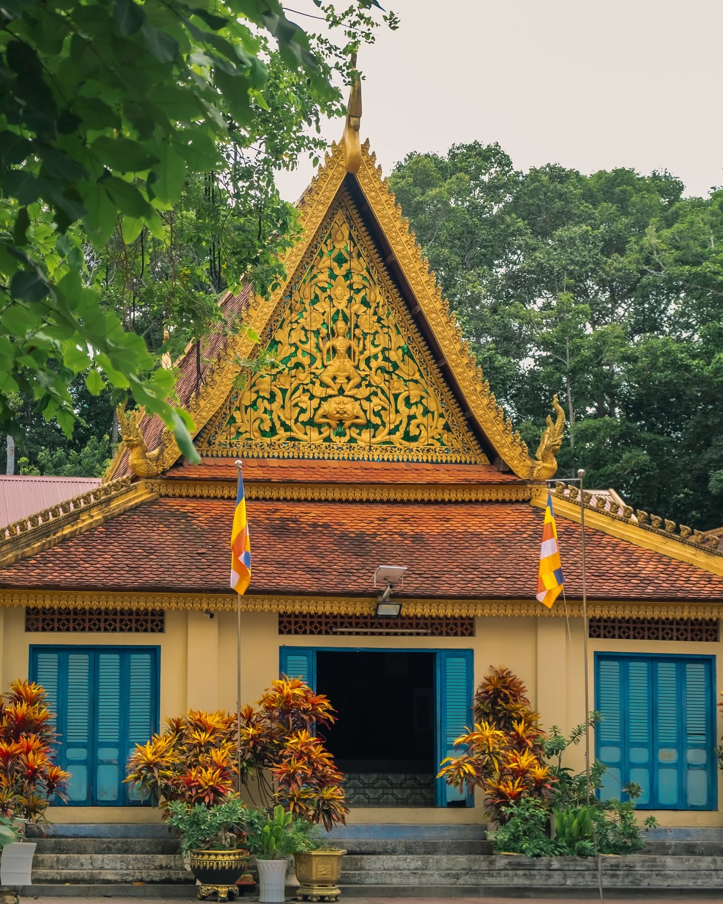 Đua Ghe Ngo Sóc Trăng - Trà Vinh - Sao Bien Tourist Đua Ghe Ngo Sóc Trăng - Trà Vinh - Sao Bien Tourist