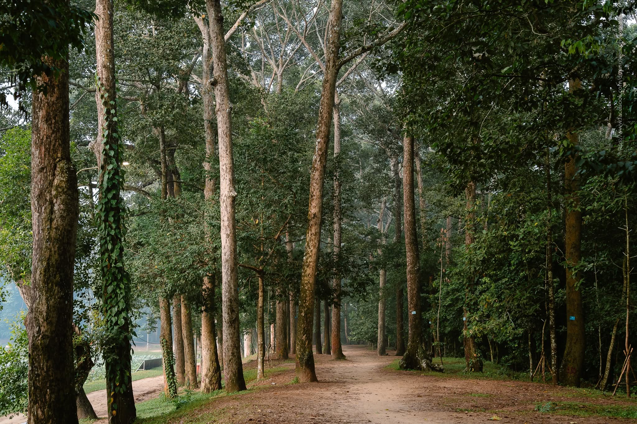 Tour Đua Ghe Ngo - Trà Vinh 1 Ngày - Sao Bien Tourist Tour Đua Ghe Ngo - Trà Vinh 1 Ngày - Sao Bien Tourist