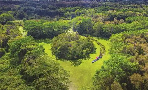 Đua Ghe Ngo Sóc Trăng - Trà Vinh - Sao Bien Tourist Đua Ghe Ngo Sóc Trăng - Trà Vinh - Sao Bien Tourist
