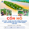 Tour Cồn Hô 1 Ngày - Sao Bien Tourist
